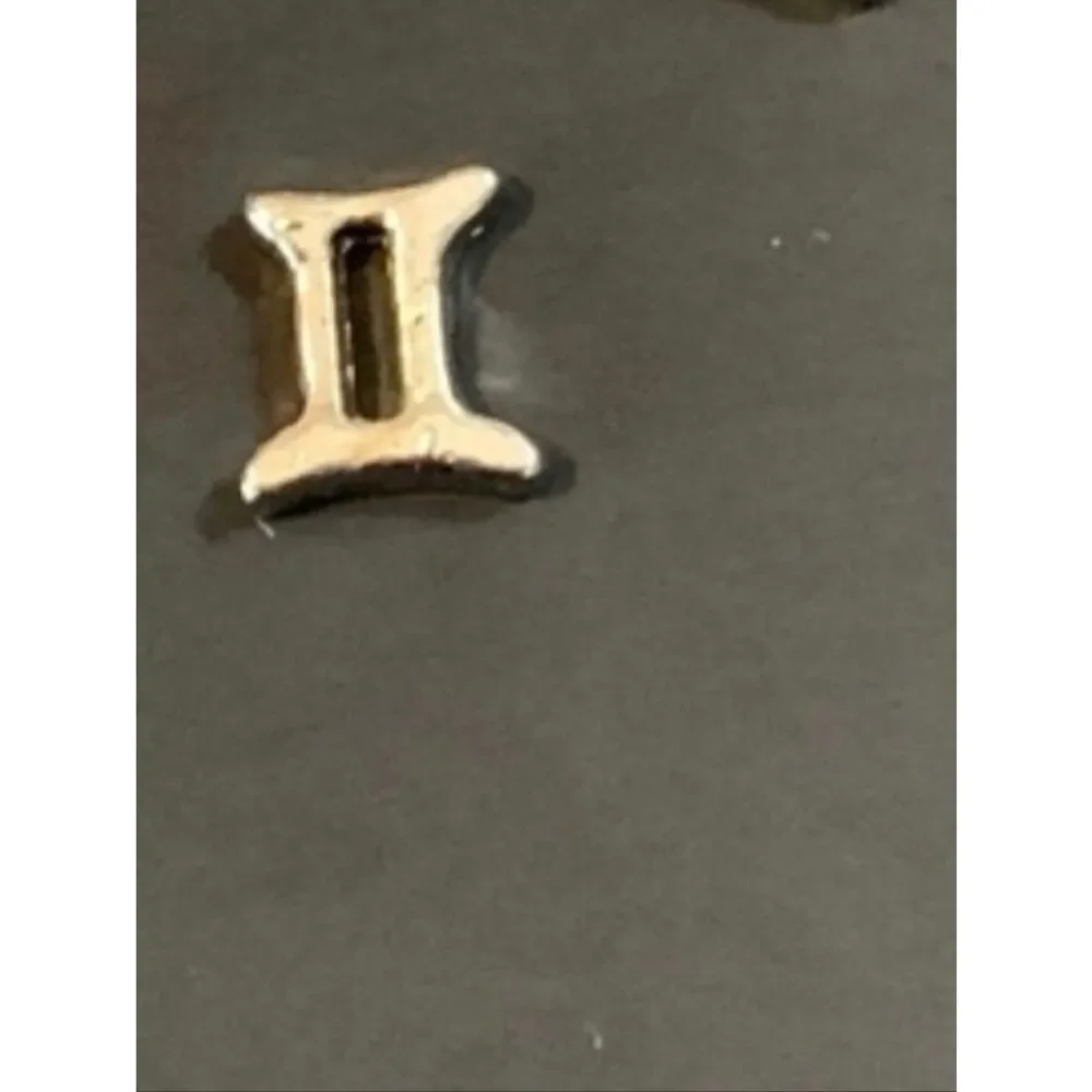Gemini ♊️ Zodiac Floating Locket Charm
